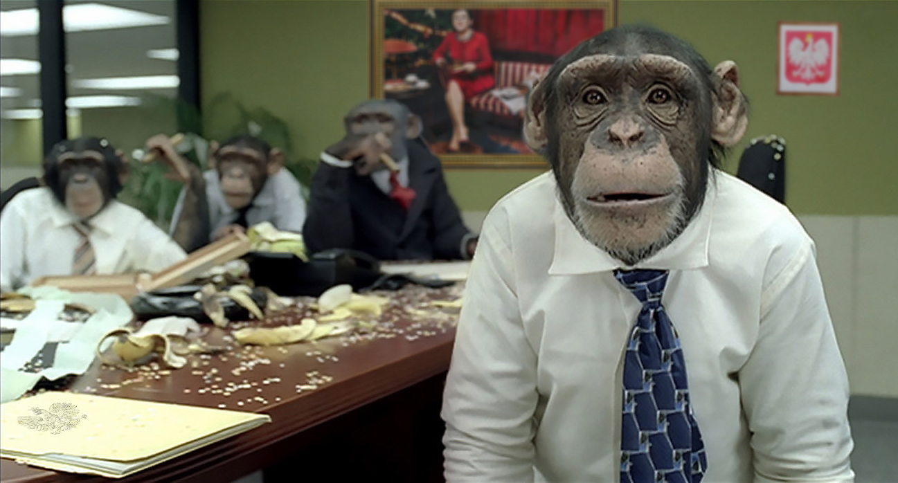Małpi-rząd